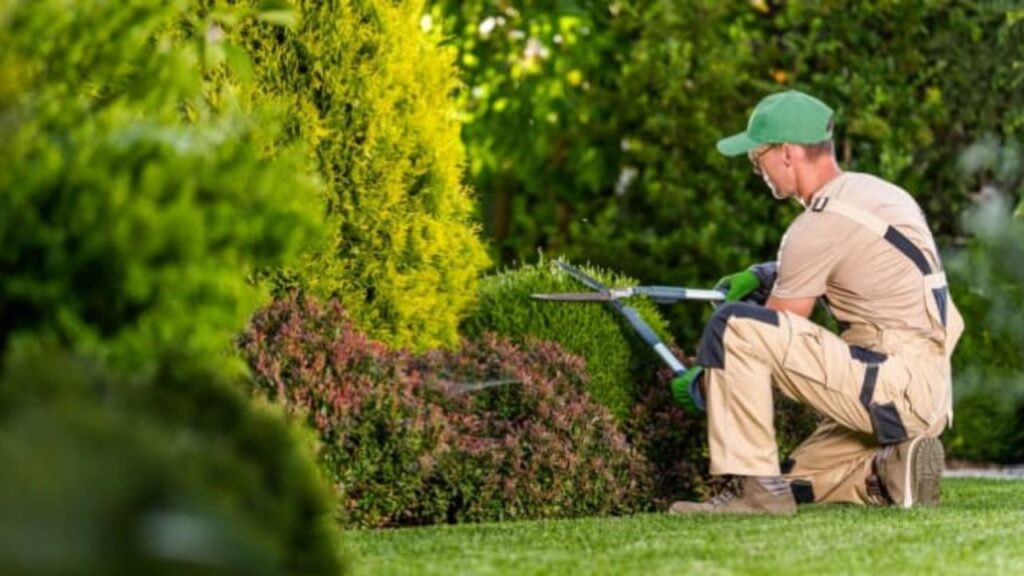 Gardener Jobs in Dubai: Monthly Salary, Benefits & Who Is Actually Hiring Gardener Jobs in Dubai Monthly Salary, Benefits & Who Is Actually Hiring